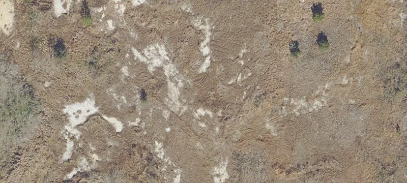 Belleview, FL 34420