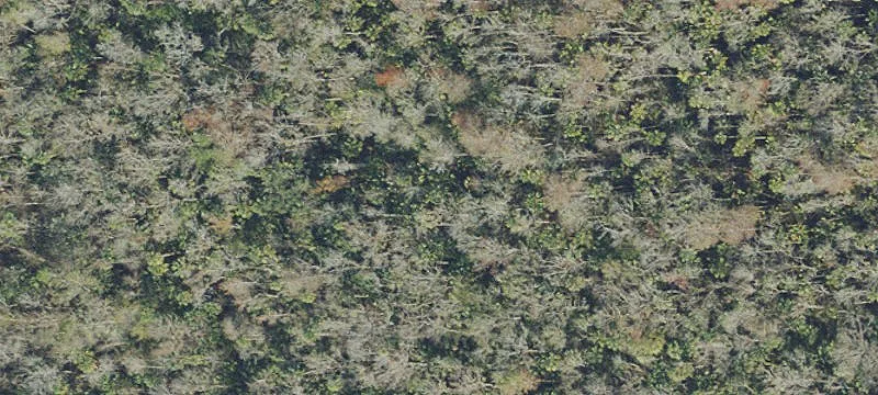 955 State Rd 434