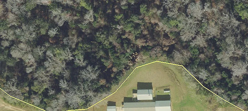 1995 Selman Rd