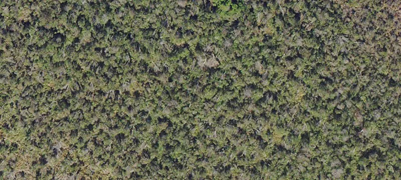 11200 37th Hwy