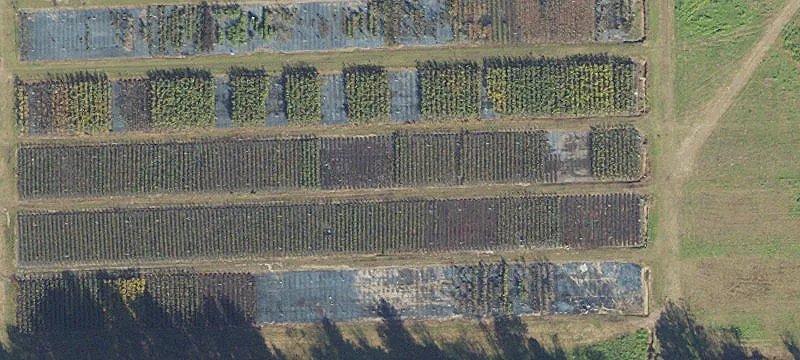 Alachua, FL 32615