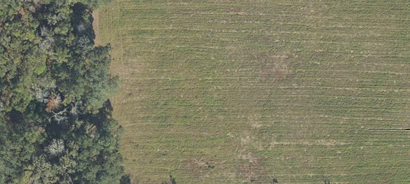 Alachua, FL 32615