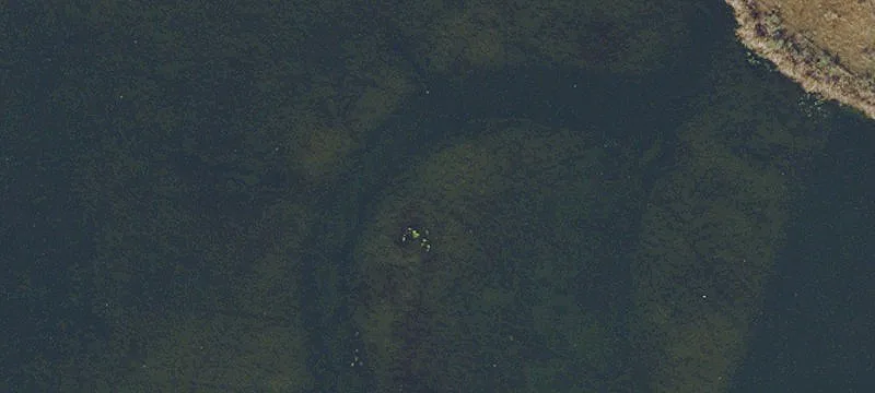 1251 Holy Cow Rd