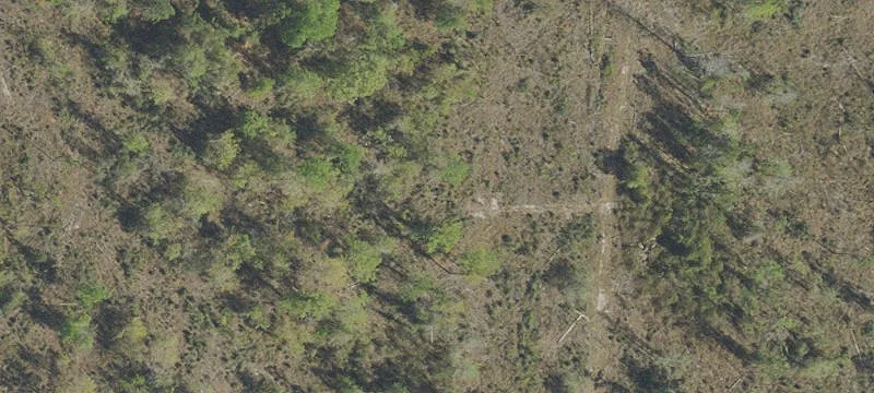 Lost Lk Rd