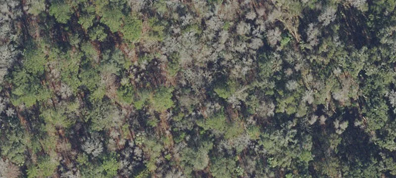 Gainesville, FL 32608