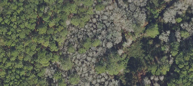 Gainesville, FL 32653