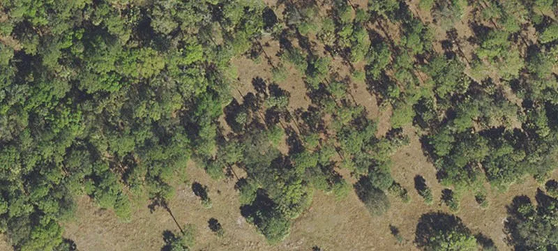 12185 State Rd 78