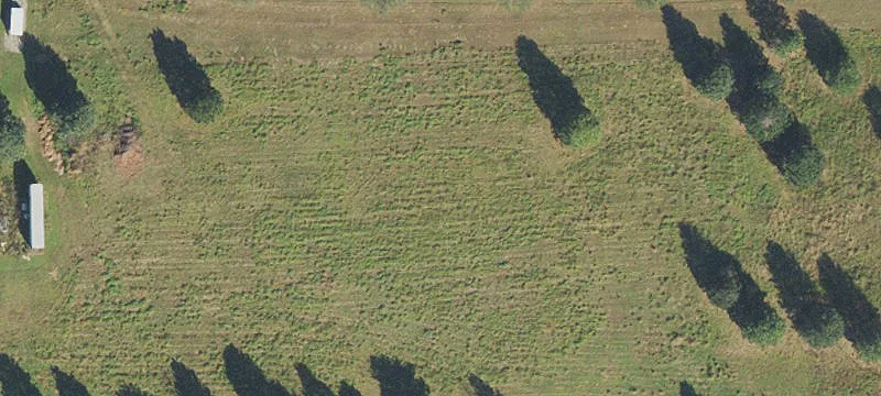 Alachua, FL 32615