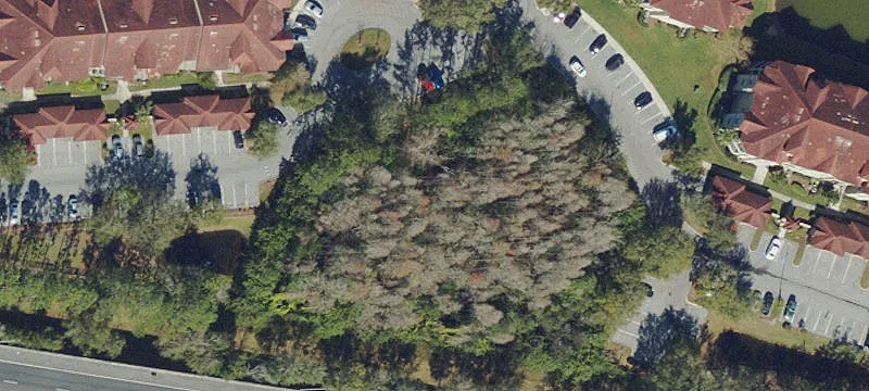 Lutz, FL 33558