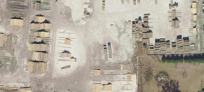 Webster, FL 33597