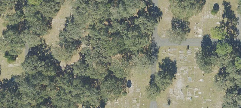 1403 Old Boggy Crk Rd