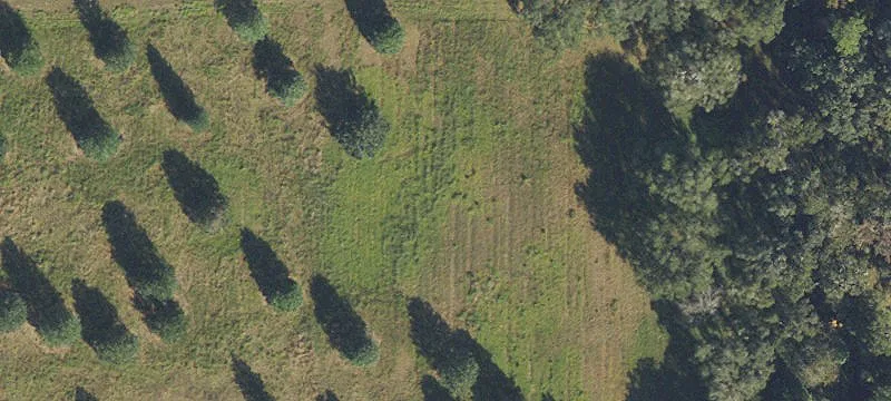 Alachua, FL 32615