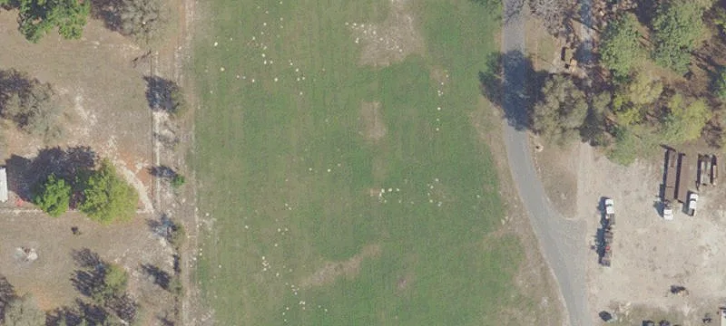 4250 Marion County Rd