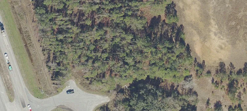 Hawthorne, FL 32640
