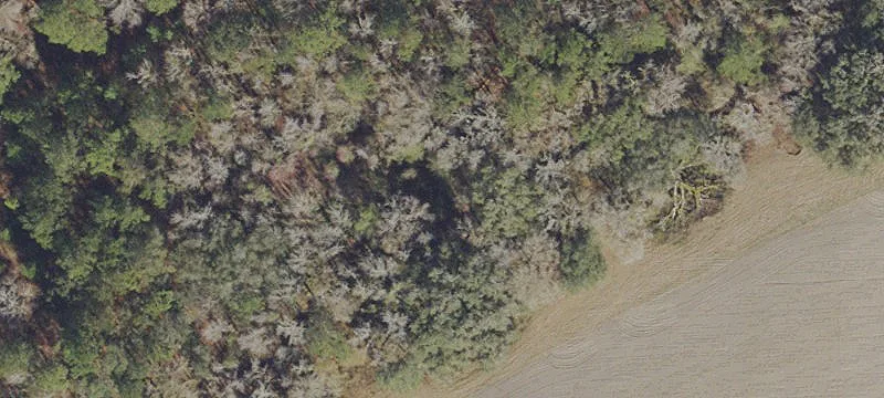 Alachua, FL 32615