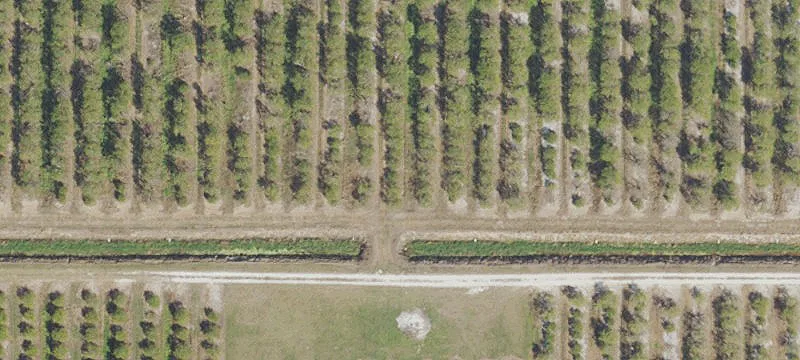12135 Highlands County Line Rd
