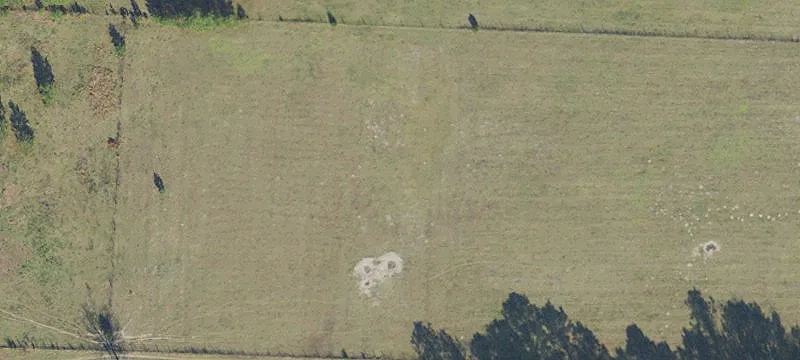 Archer, FL 32618