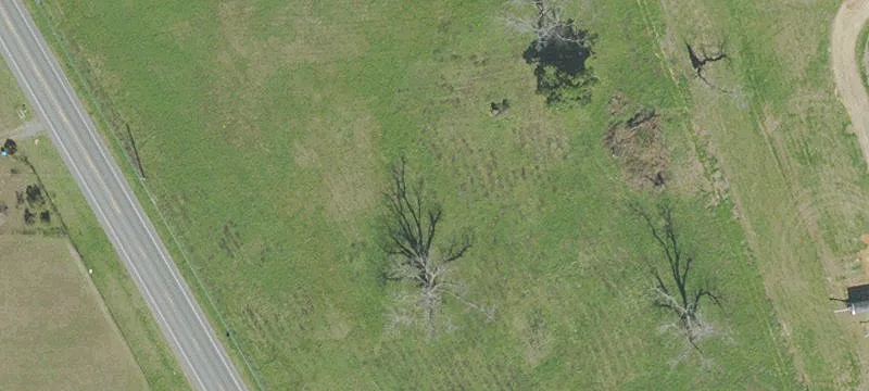 15543 Mt Olive Cemetery Rd