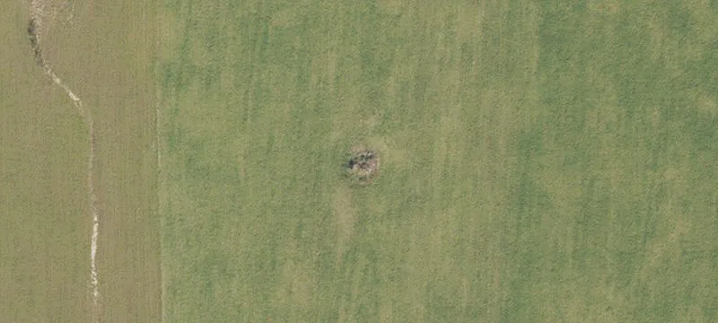 Alachua, FL 32615