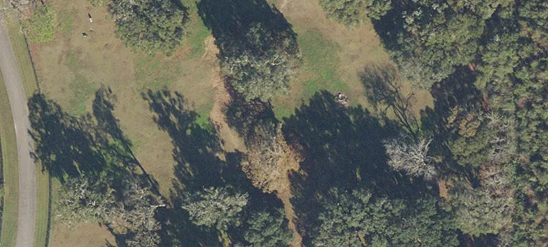 Alachua, FL 32615