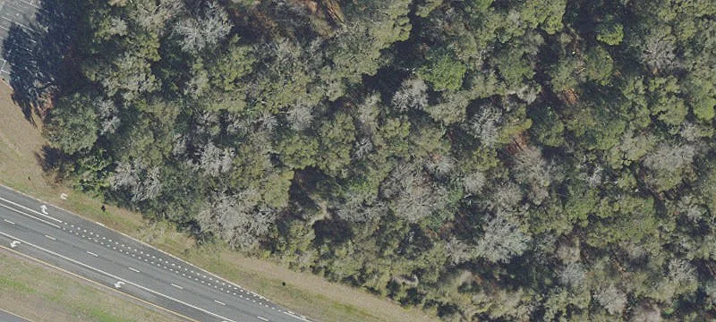 Alachua, FL 32615