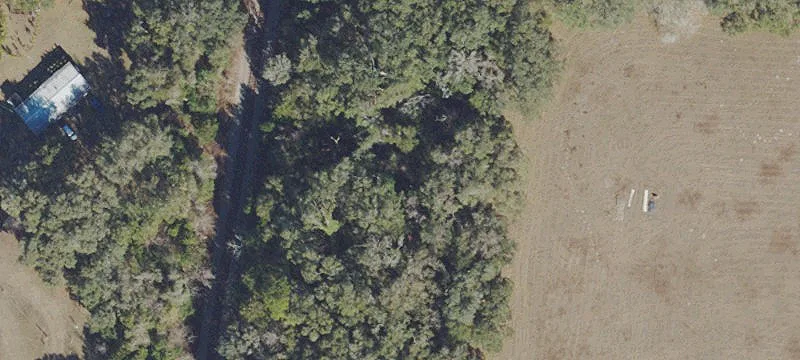 Williston, FL 32696