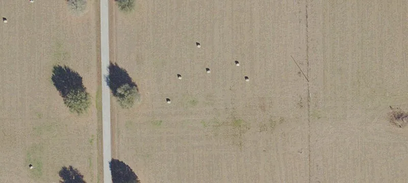Alachua, FL 32615