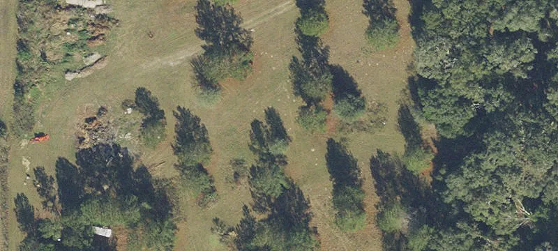 Newberry, FL 32669