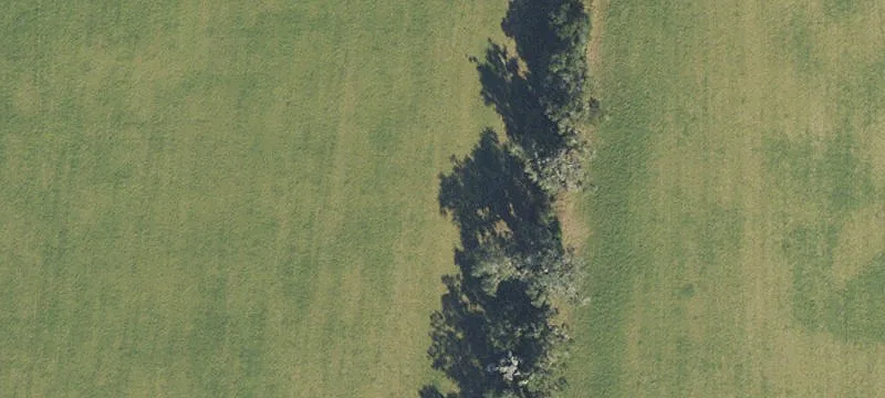 Alachua, FL 32615