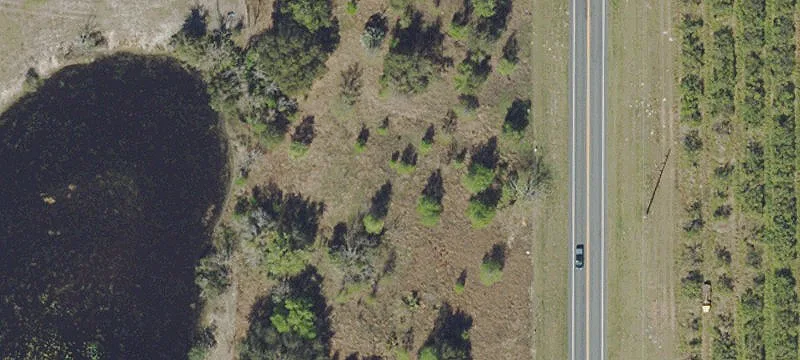 State Rd 19