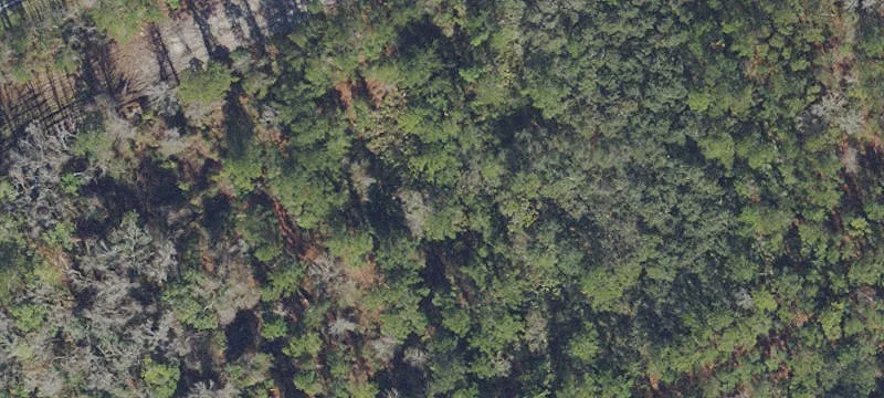 Satsuma, FL 32189