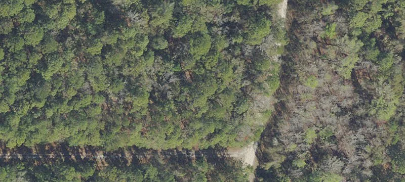 Georgetown, FL 32139