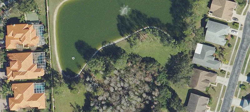 Trinity, FL 34655