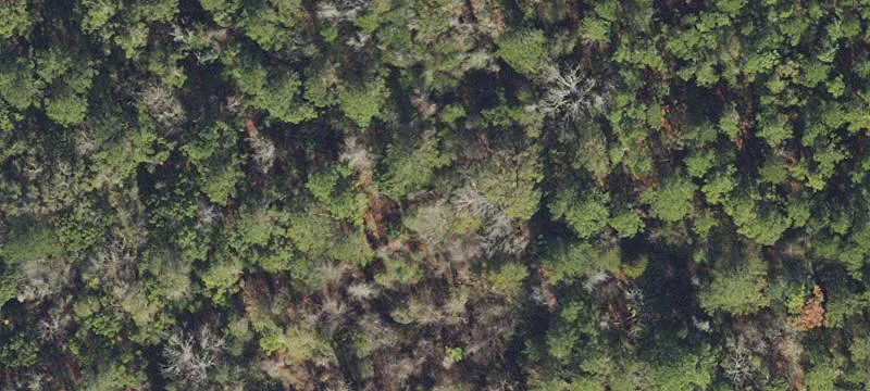 Live Oak, FL 32060
