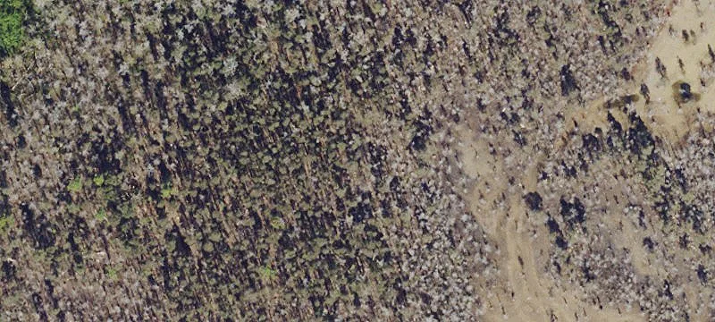 Bonita Springs, FL 34135