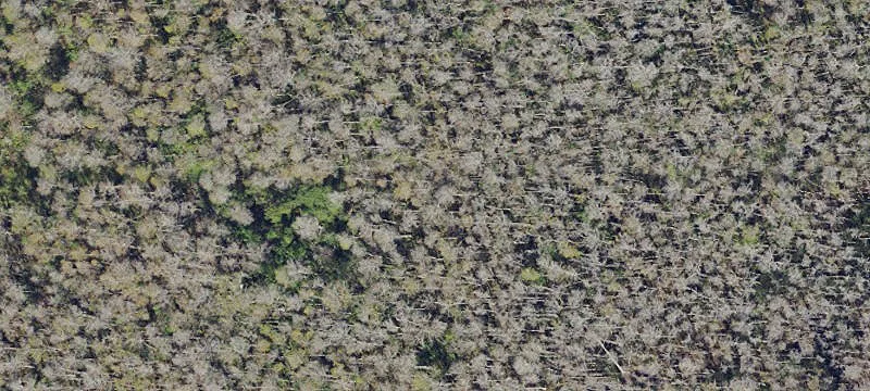 Bonita Springs, FL 34135