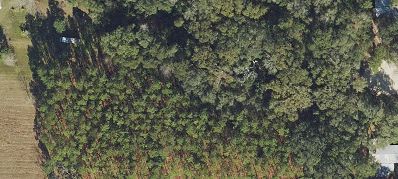 Live Oak, FL 32064