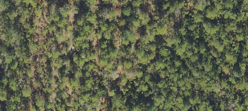 Defuniak Springs, FL 32435