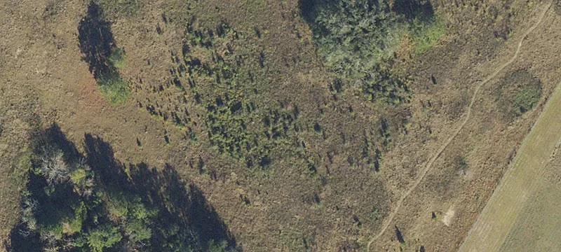 Live Oak, FL 32064