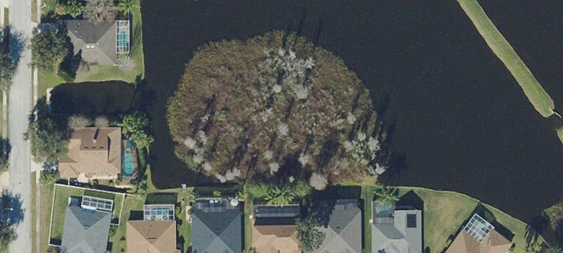 Trinity, FL 34655