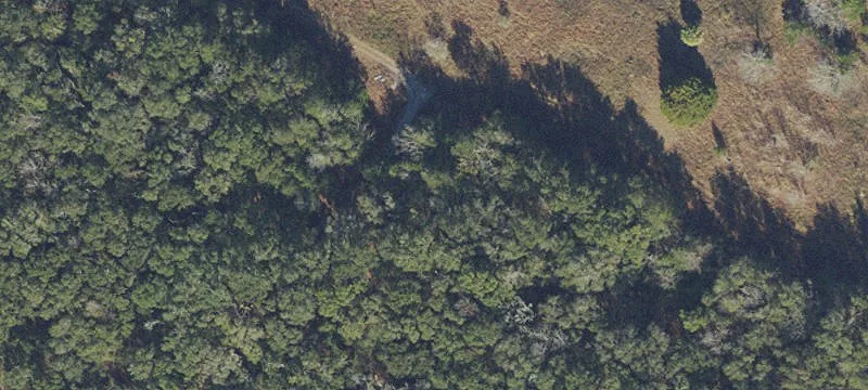 High Springs, FL 32643