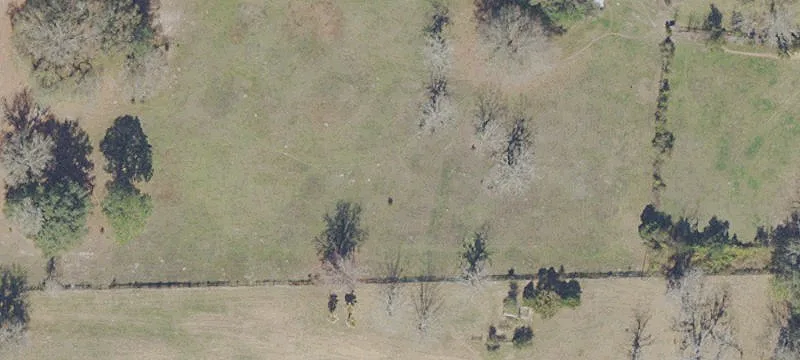 Hawthorne, FL 32640