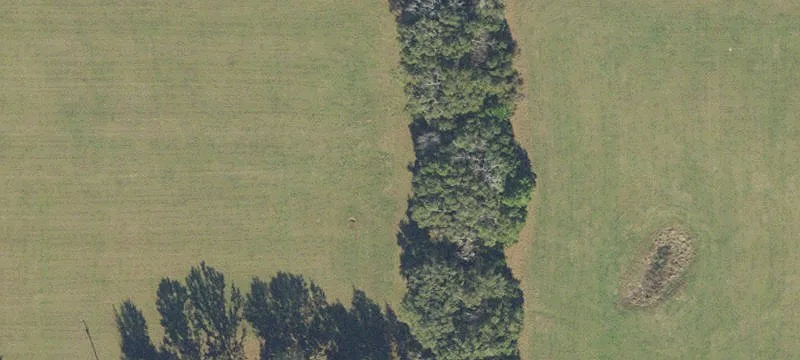 High Springs, FL 32643