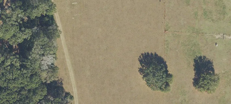 High Springs, FL 32643
