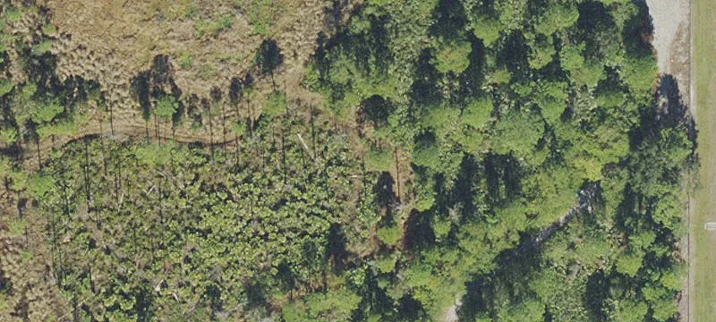 Cocoa, FL 32926