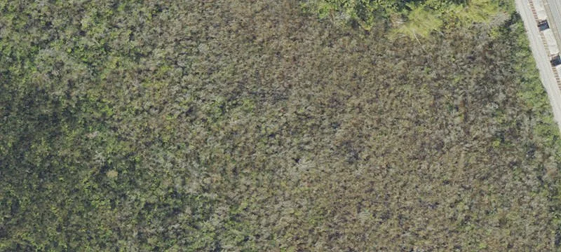 Cocoa, FL 32926