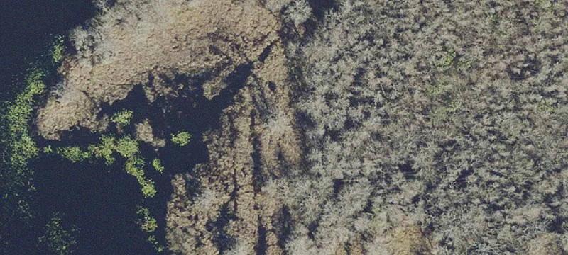 Geneva, FL 32732