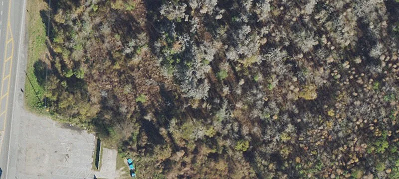 Jasper, FL 32052