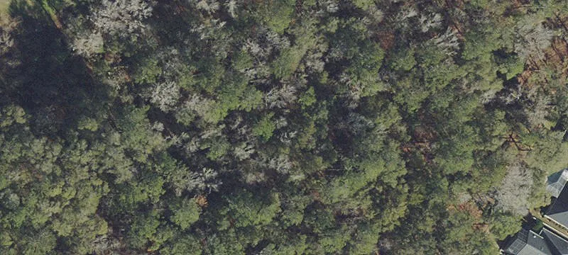 Alachua, FL 32615