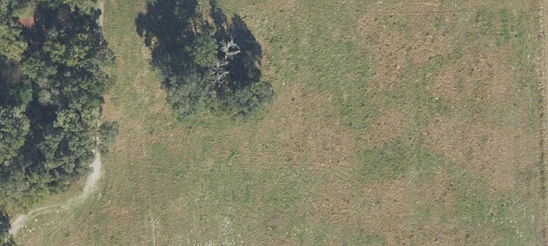 Newberry, FL 32669